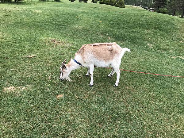 a2K8txWeTYCbVcPAgzpV4Q.jpg a2K8txWeTYCbVcPAgzpV4Q.jpg