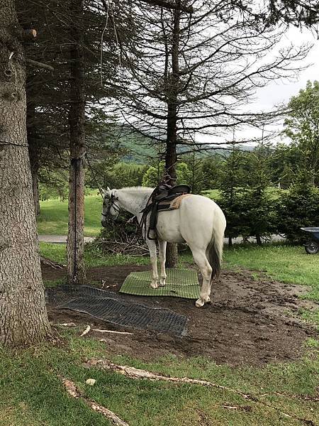 gqzjEj5RSbqUv8XKGlcQIQ.jpg gqzjEj5RSbqUv8XKGlcQIQ.jpg