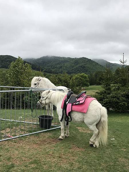 SvJOeYlAS5CtmFOVhJpn2Q.jpg SvJOeYlAS5CtmFOVhJpn2Q.jpg