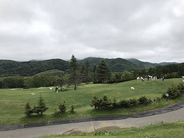 BXcvqnleTQ2VJ7Stcv7Wsw.jpg BXcvqnleTQ2VJ7Stcv7Wsw.jpg