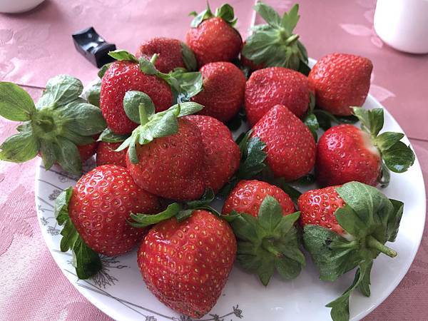 fullsizeoutput_263a.jpeg fullsizeoutput_263a.jpeg