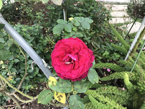 r1XMIE9dQCKYjIxQ14eYPQ.jpg r1XMIE9dQCKYjIxQ14eYPQ.jpg