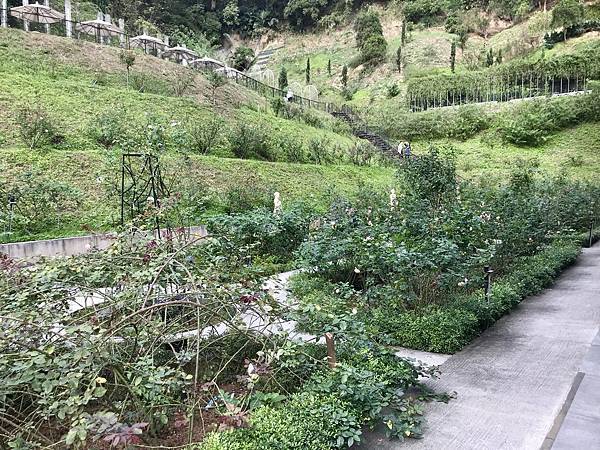 fullsizeoutput_2674.jpeg fullsizeoutput_2674.jpeg