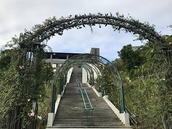 fullsizeoutput_2676.jpeg fullsizeoutput_2676.jpeg