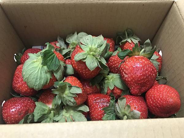 sqsrUDqfS4GVtgJmalRA1g.jpg sqsrUDqfS4GVtgJmalRA1g.jpg