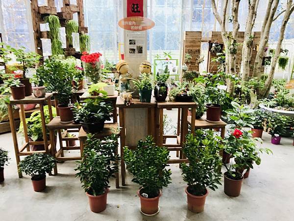 4A894C8E-FAD6-4C1C-ACAD-A7388AA897EE_1_201_a.jpeg 4A894C8E-FAD6-4C1C-ACAD-A7388AA897EE_1_201_a.jpeg