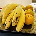 IMG_E9739.JPG