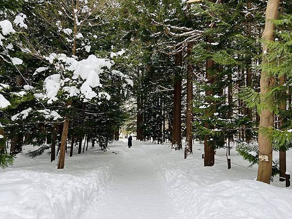 【日本】北海道神宮