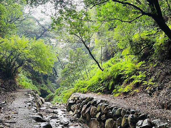 紫明溪步道&陽明書屋&松竹園餐廳&真愛桃花源--同仁經驗交流