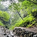 IMG_E7995.JPG