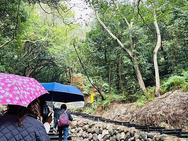 紫明溪步道&陽明書屋&松竹園餐廳&真愛桃花源--同仁經驗交流