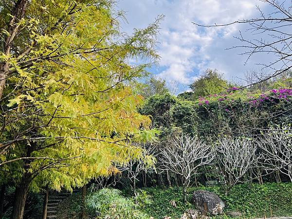 紫明溪步道&陽明書屋&松竹園餐廳&真愛桃花源--同仁經驗交流