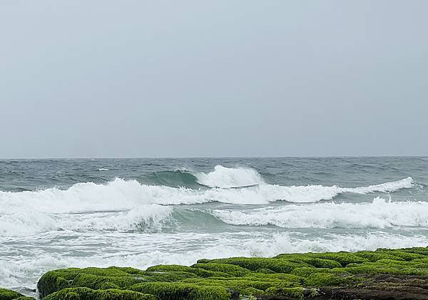 清明連假石門老梅半日遊~綠石槽、老梅迷宮、甕缸雞