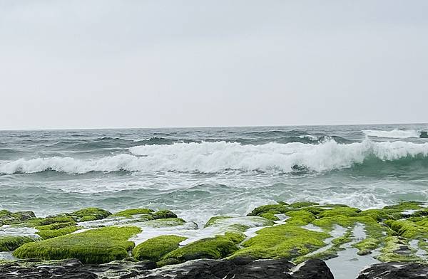 清明連假石門老梅半日遊~綠石槽、老梅迷宮、甕缸雞