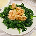 IMG_E3046.JPG