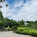 IMG_E3439.JPG