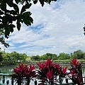 IMG_E3442.JPG