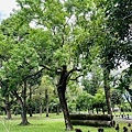 IMG_E3441.JPG