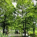 IMG_E3446.JPG