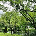 IMG_E3447.JPG