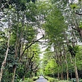 IMG_E3448.JPG