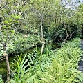 IMG_E3451.JPG