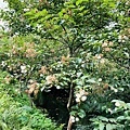 IMG_E3453.JPG