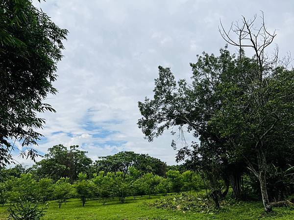 環境教育研習之深溝水源生態園區