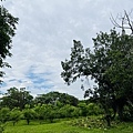 IMG_E3456.JPG