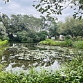 IMG_E3466.JPG