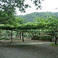 玻璃屋庭園