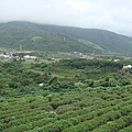 餐廳附近景致