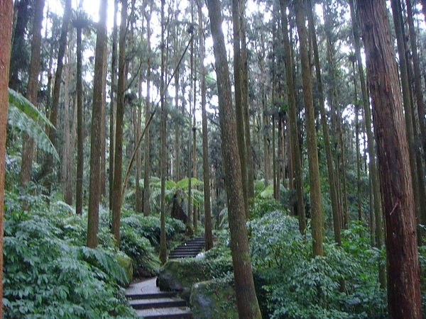 大學池步道