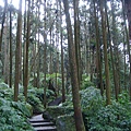 大學池步道