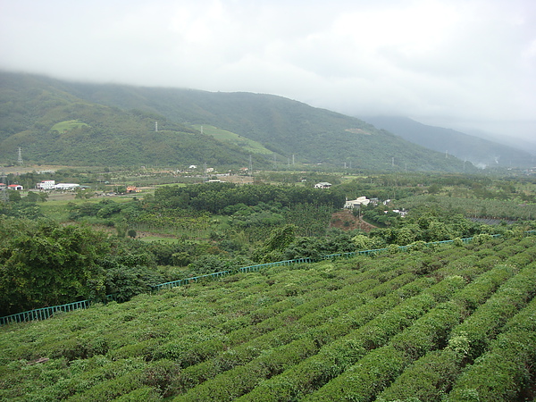餐廳附近景致