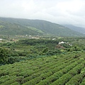 餐廳附近景致