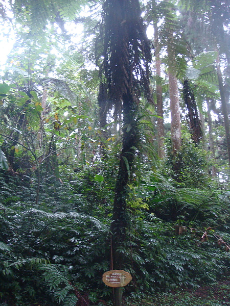 DSC09096.jpg