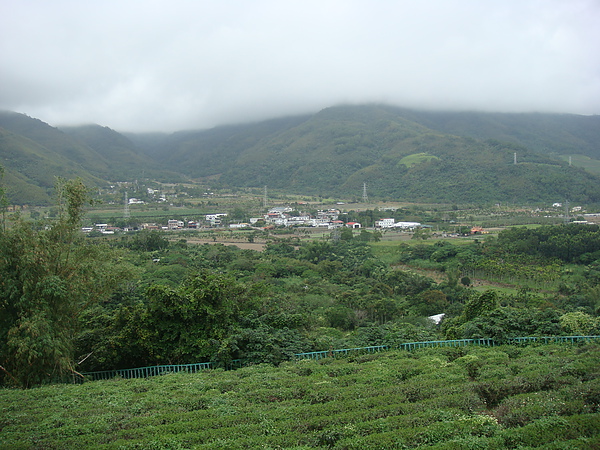 餐廳附近景致