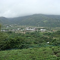 餐廳附近景致