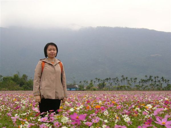 樹湖花海