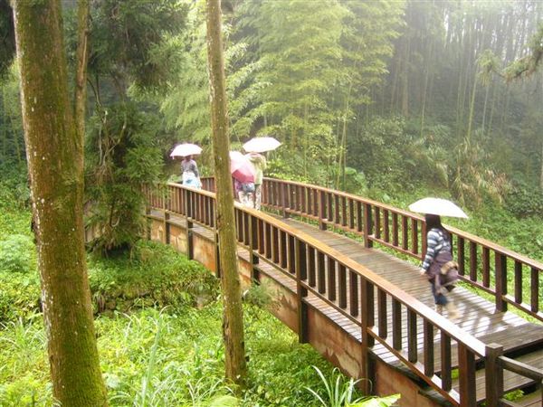 奮起湖木馬棧道