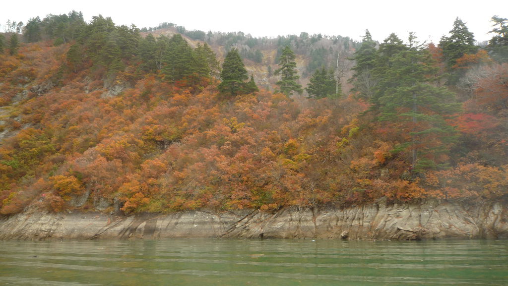 P1040730.JPG P1040730.JPG