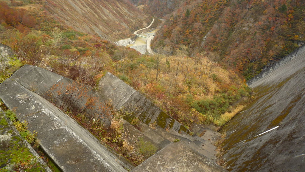 P1040761.JPG P1040761.JPG