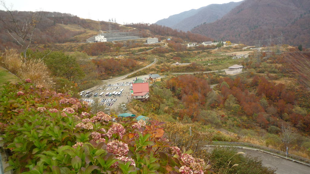 P1040772.JPG P1040772.JPG