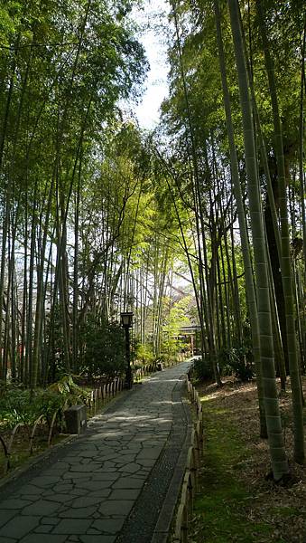 P1050587 P1050587