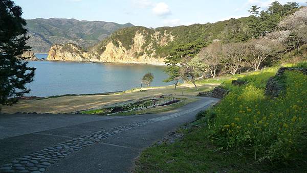P1050646 P1050646
