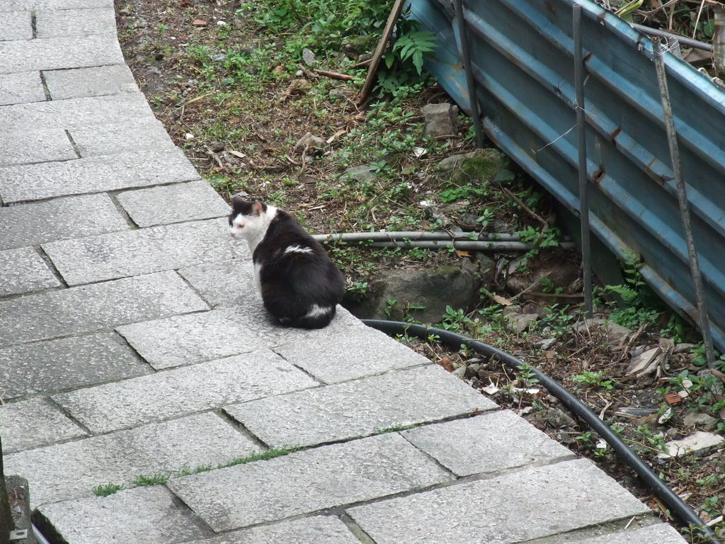DSCF7736.JPG DSCF7736.JPG