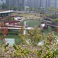 P1070281.JPG
