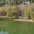 P1070229.JPG
