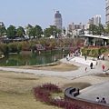 P1070250.JPG